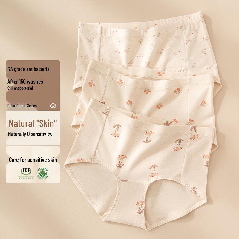 Ding Guagua Women's Cotton Printed Briefs (3-Pack)