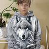 Boy's Wolf Pattern 3D Printed Hooded Sweatshirt, Casual Daily Wear Clothing In Spring and Autumn