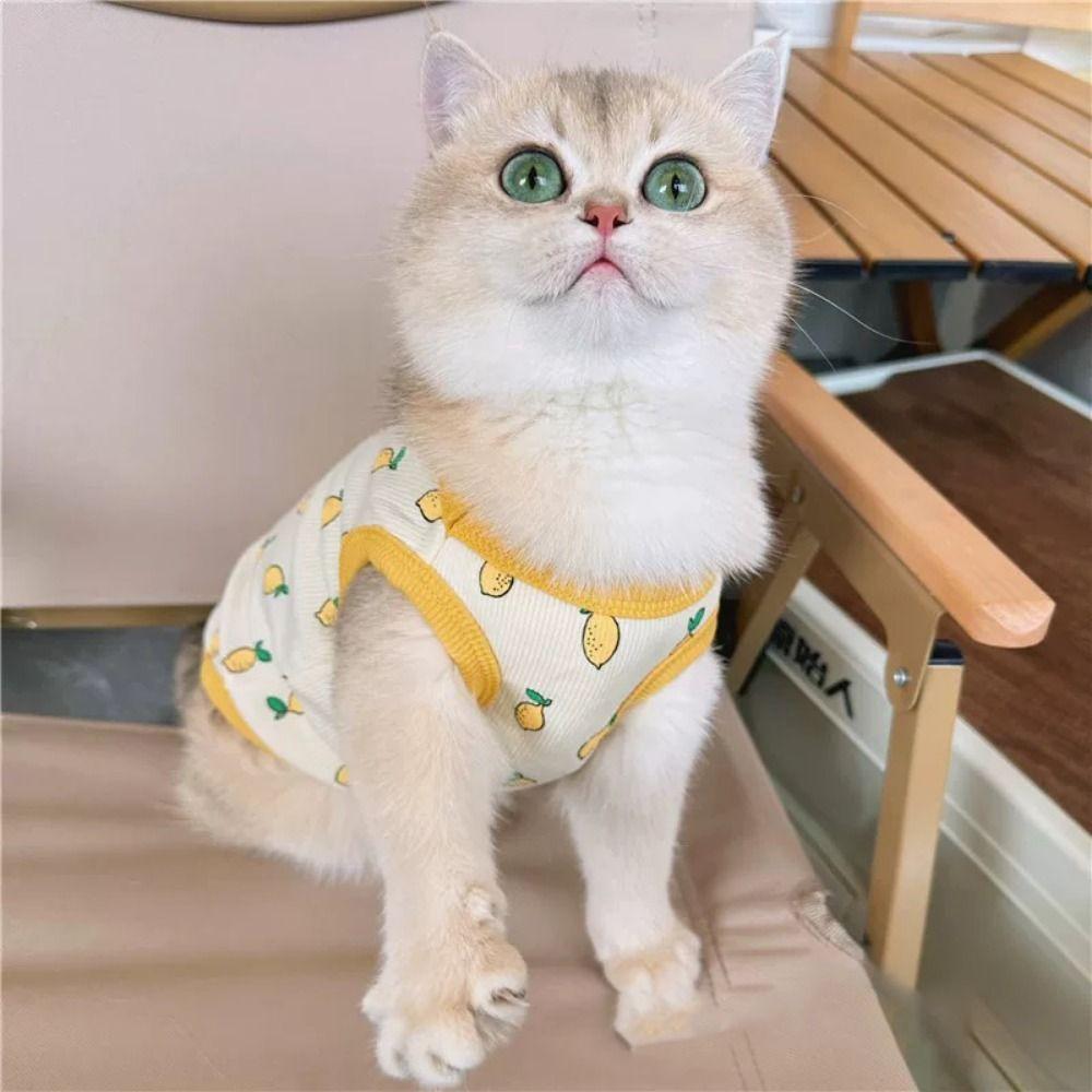 Cute Dog Clothes Soft Pet Shirt Pet Clothing Pet T-shirt Kittens