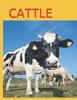 Книга Cattle