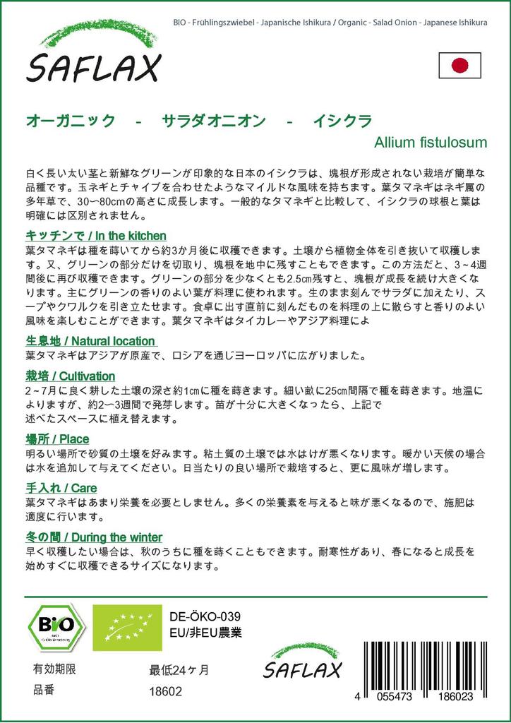 SAFLAX Gift Set - Organic - Salad Onion - Japanese Ishikura - 150 Seeds - With Gift Box, Card, Label and Potting Substrate - Allium Fistulosum