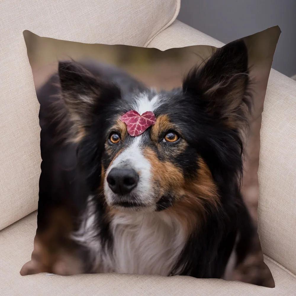 Soft Plush Cute Pet Animal Cushion Cover Scotland Border Collie Pillowcase for Sofa Car Decor Dog Printed Pillow Case
