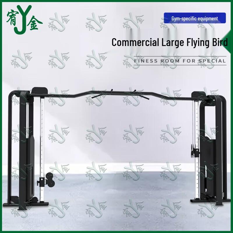 Functional Trainer XH-005