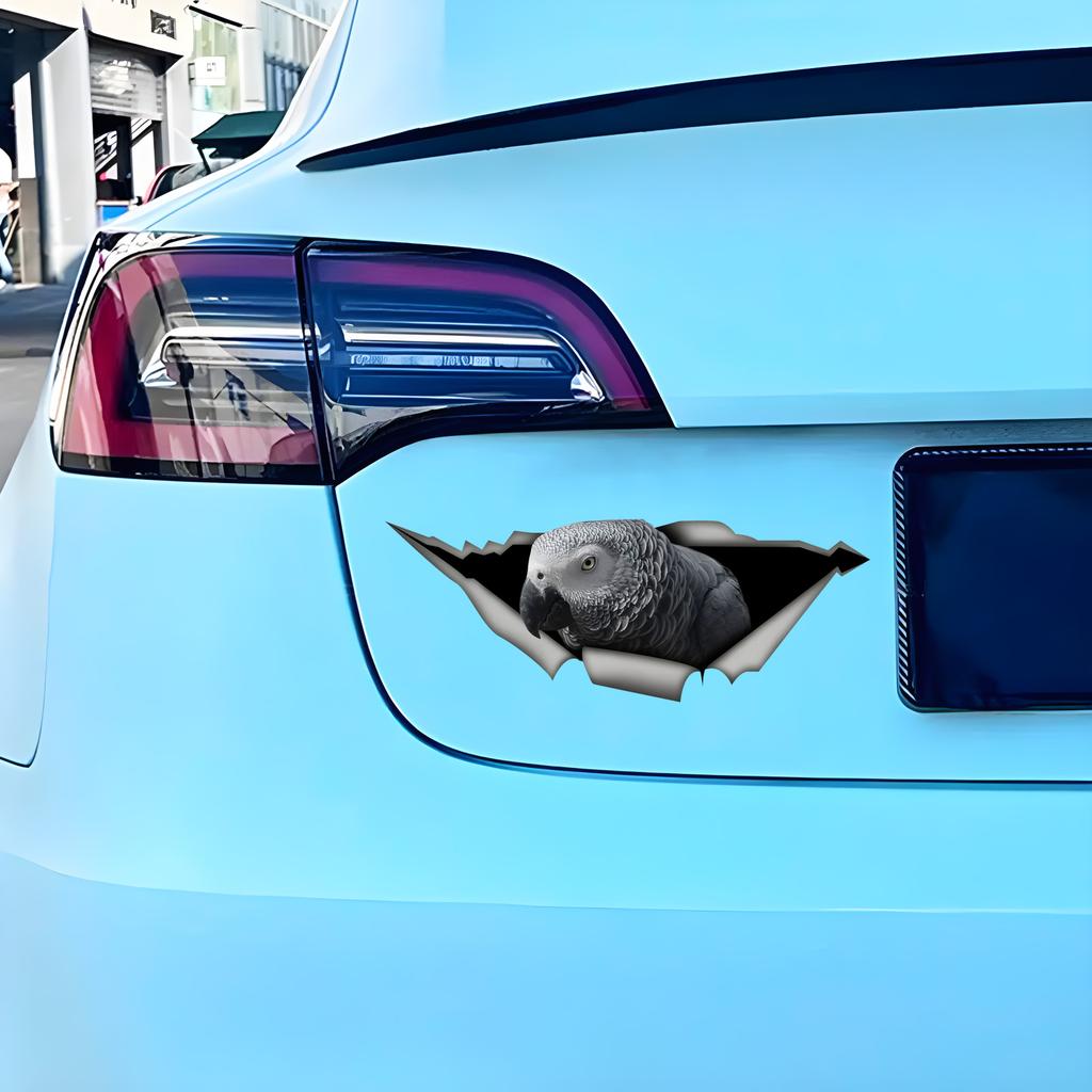 Африканский серый попугай 3D наклейка на автомобиль, забавная водонепроницаемая наклейка для автомобилей, грузовиков, мотоциклов, стен, окон, материал ПВХ