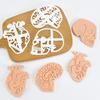 1/3Pcs Human Body Organ Cookie Cutter Heart Brain Shape Fondant Icing Biscuit Mold DIY Dough Cookie Baking Pastry Embosser Tools