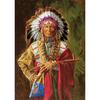 Полный 5D Diy Алмазная картина Примитивный племенной человек Вышивка крестиком Домашний декор Подарок ручной работы
