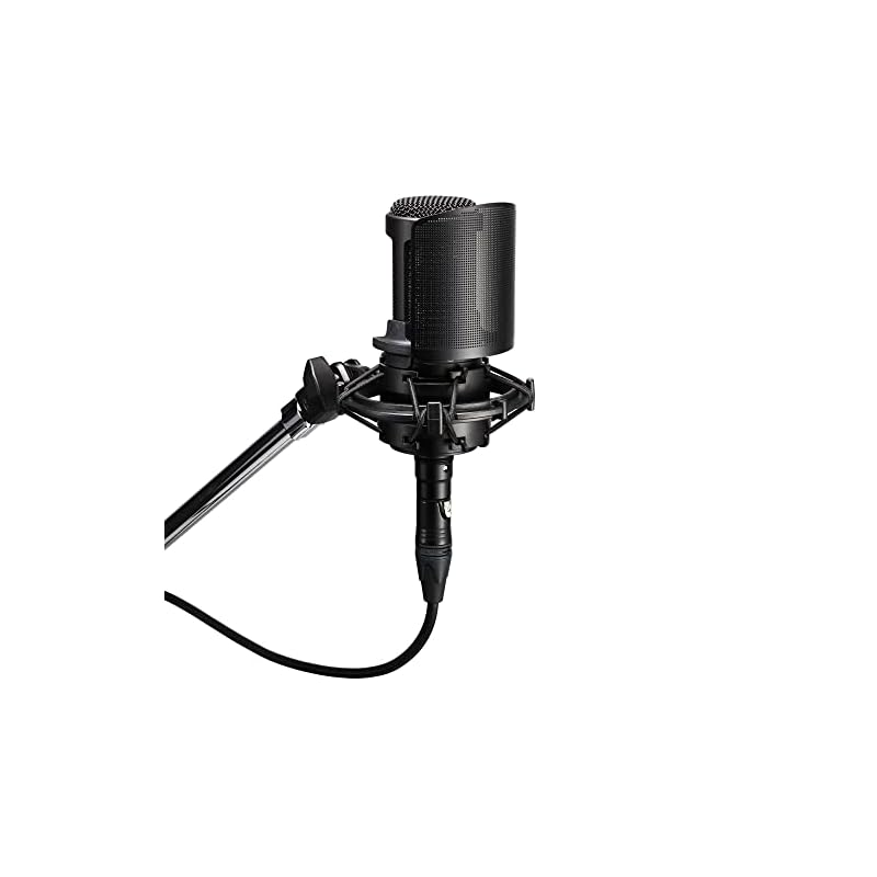 Audio-Technica AT8175 Поп-фильтр для серии 20. Совместимые модели: AT2020USB-X, AT2020USB+, AT2020, AT2020GM, AT2035, AT2050. [Внутренний оригинальный