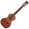 ARIA Aria Mini Classical Guitar ASA-18C N with Case