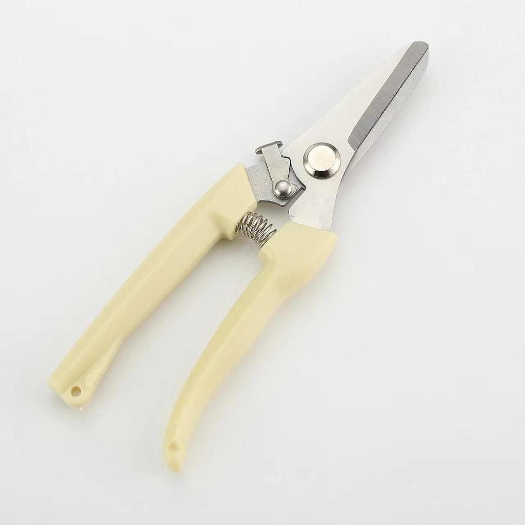 Садовые ножницы для обрезки: Инструмент для ухода за цветами, фруктами и деревьями