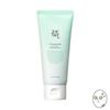 Green Plum Refreshing Cleanser (100ml)
