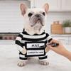 Comfortable Pet Funny Costume Breathable Dog Party Dressed Up Halloween Dog Clothes  Halloween