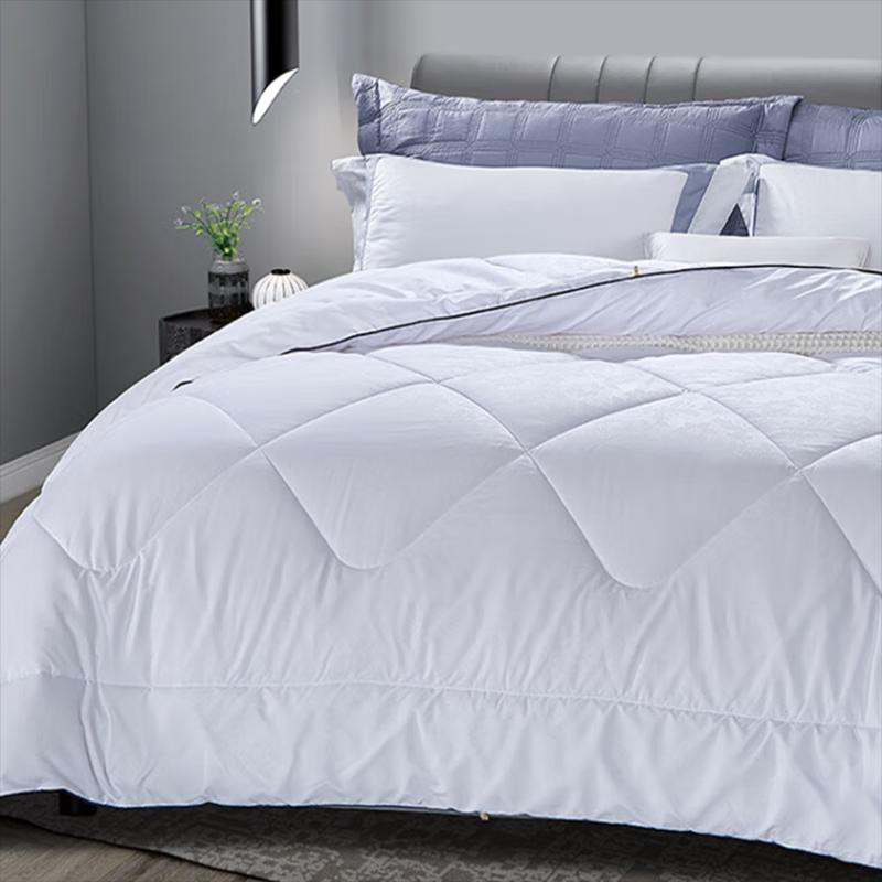 FUANNA Antibacterial All-Season Quilt