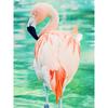 5d Diy Diamond Painting Flamingo Cross Stitch Full Circular Diamond Embroidery Landscape Rhinestones
