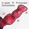 Beginner Dog Knot Dildo Female Anal Silicone Dilator G-Spot Vaginal Stimulator with Suction Cup Adult Sex Toy Male and Female