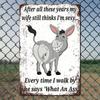 1pc Donkey Sarcastic Vintage Metal Sign Rustic Wall Decor, Humorous Plaque, Hanging Art, Distressed Finish, Ready To Hang