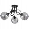 Pendant Lamp Ceiling Chandelier Balls Black Modern Led Milky
