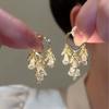 Серьги с кисточками темпераментные легкая роскошь высокое чувство серьги-кольца модные личностные универсальные серьги женские