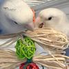 Попугай Игрушка для игры Птица Устойчивая к укусам Шнурок для стачивания зубов Грызущий Здоровые попугаи Ара Аксессуары для клетки питомца Грызение