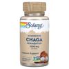 Fermented Chaga Mushroom, Veggie Capsules 60 (500Mg Per Capsule)