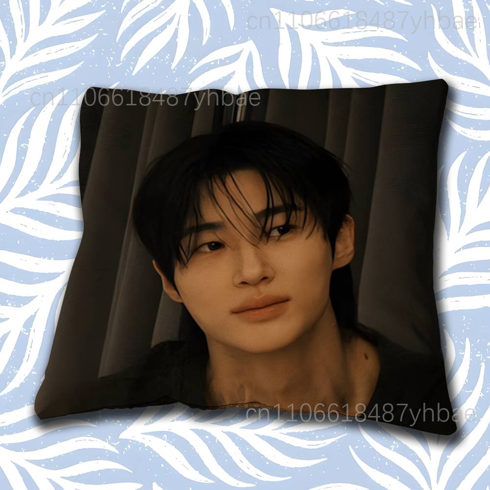 Korea BByeon Woo Seok Cushion Cover Pillow Cover Decor Pillowcase Printed Cushion Case For Couch