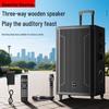 Портативная Bluetooth-колонка для караоке Newmine N527, 15 дюймов, штекер CN (адаптер в комплекте)