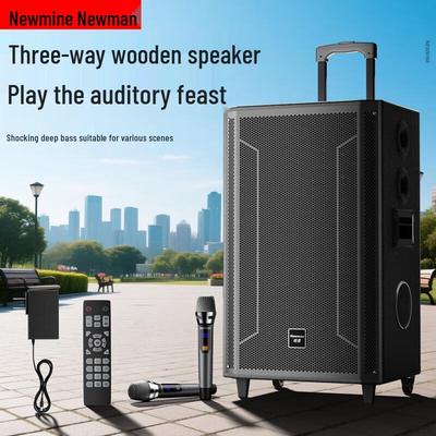 Портативная Bluetooth-колонка для караоке Newmine N527, 15 дюймов, штекер CN (адаптер в комплекте)