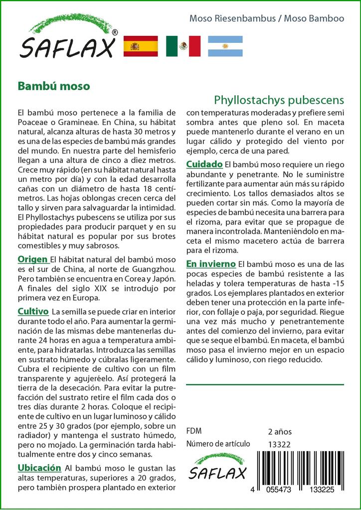 SAFLAX Мосо Бамбук - 20 семян - Phyllostachys pubescens