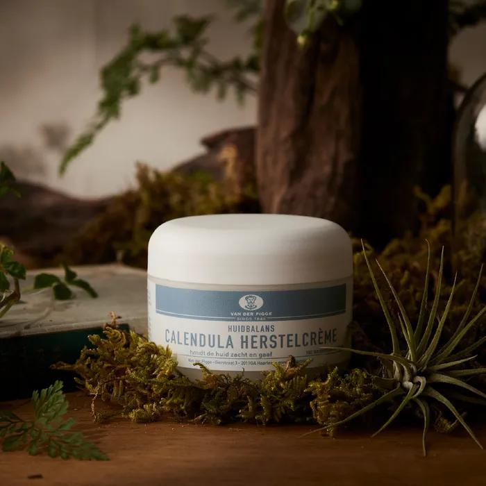 Увлажняющий успокаивающий крем и крем для глаз набор для повышения эластичности кожи