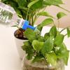 Легко установить Пластичная насадка для полива Дизайн крышки от бутылки Маленькая лейка Насадка для полива цветов Легкая Растение в горшке