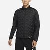 Мужская пуховая куртка THERMA FIT ADV Черный DD5668-010