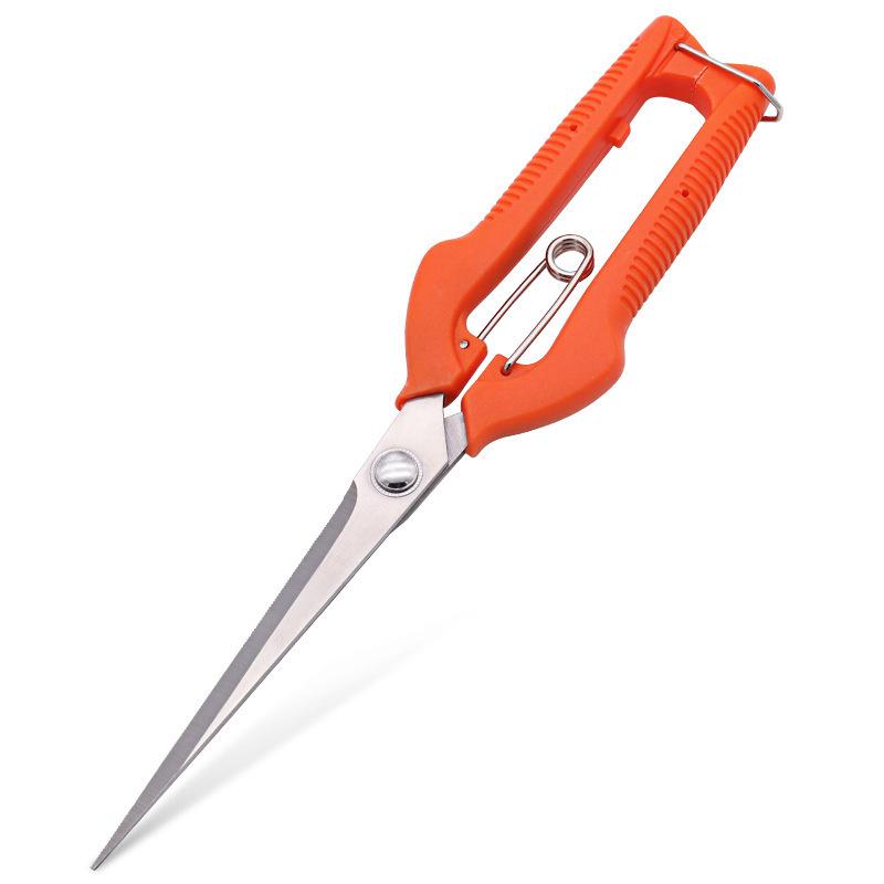 Секатор для винограда Садовый инструмент Огород Бонсай Профессиональный Столярный Нержавеющая сталь Сбор фруктов с замком