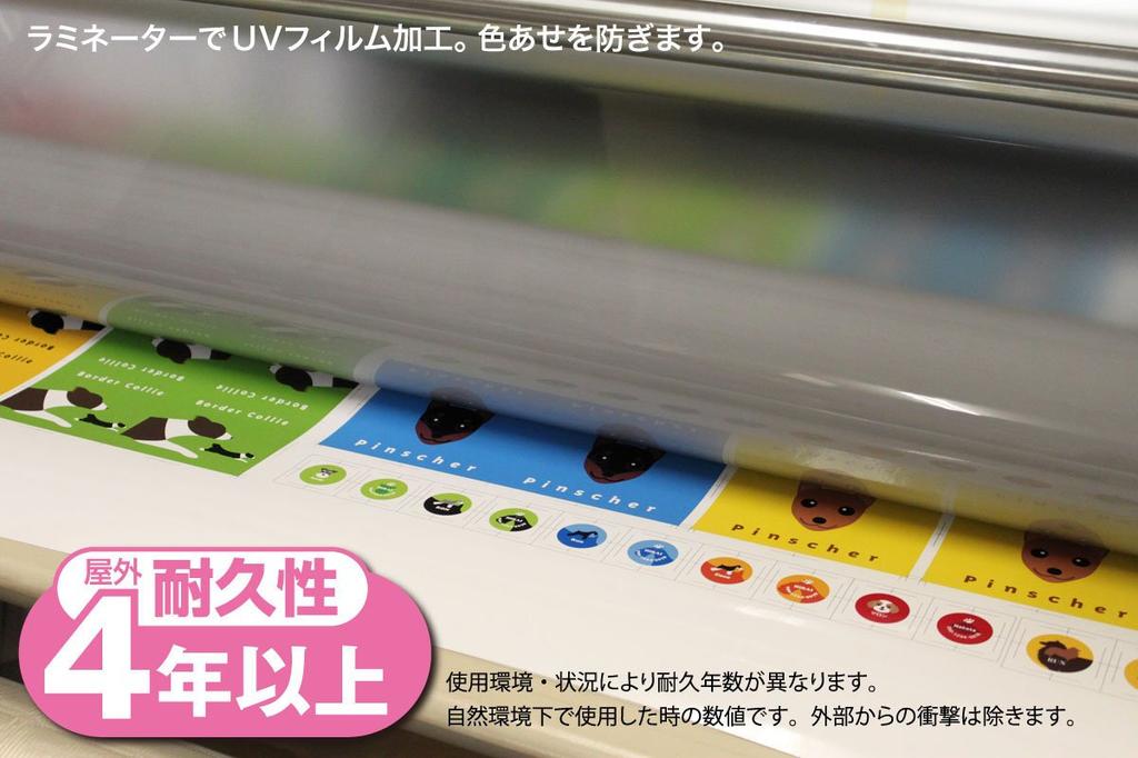 Gazing Ducks Fund Long Black & Tan Dog Sticker Green Back Round L + SS Size [Set of 4] MK-2