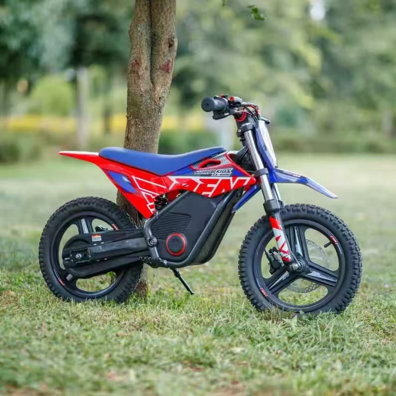 Apollo RFN SX-E500 Kids' Off-road Electric Motorcycle - Ideal Parent-Child Birthday Gift