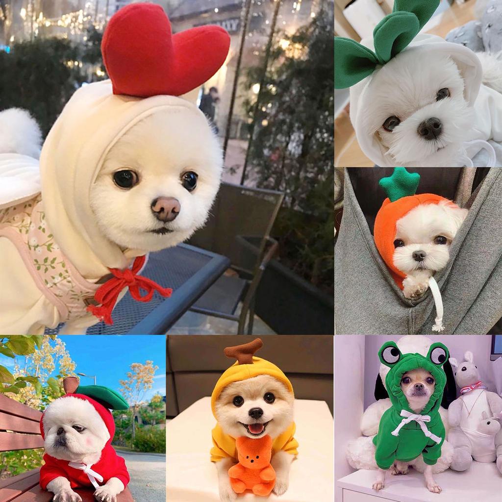 Тёплая толстовка для длмашних питомцев