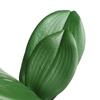 Украшение Декоративные цветы Имитация листьев Лист фаленопсиса Пластиковая трава Искусственные растения