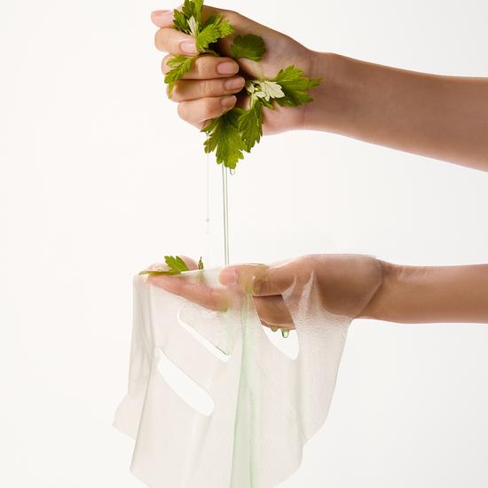 WHIPPED Vegan Squeeze Mask 5+1 Pack Promotion (Choose 1 of 2) (Mug Tree/Fruit Butter)