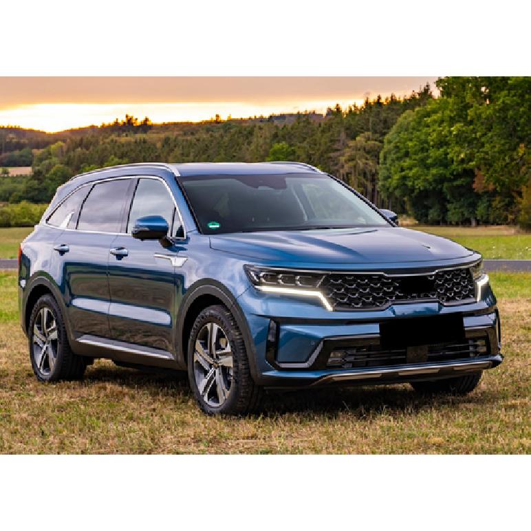 Глянцевая черная накладка на крышку зеркала заднего вида из рога быка для -2024 Kia Sorento