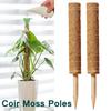 Horticultural Coconut Palm Stick Green Luo Potted Plant Fixed Plant Climbing Rod Support Coconut Palm Climbing Rod Moss Rod