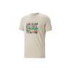 Puma Свободная повседневная футболка с круглым вырезом и буквенным принтом, унисекс, топы, овсянка 622572-47