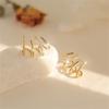 Zircon Irregular Earrings