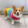 Одежда для собак Corgi, свитер для домашних животных Rainbow, для маленьких и средних собак, для бишонов, сиба-ину, Fadou, теплая зима