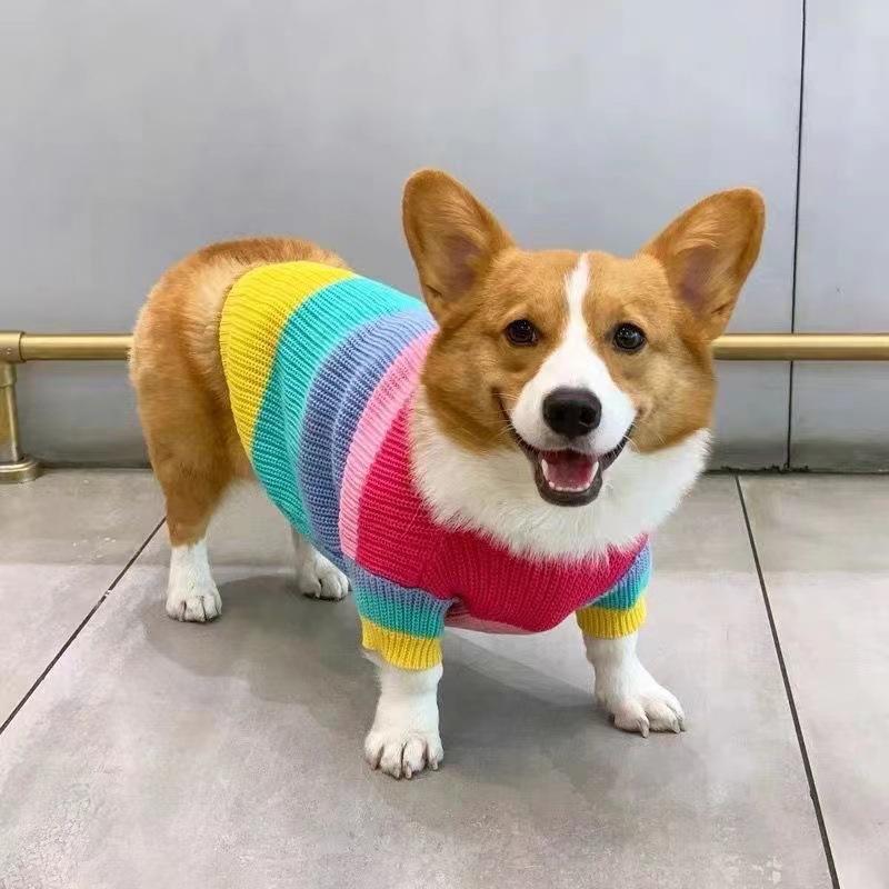 Одежда для собак Corgi, свитер для домашних животных Rainbow, для маленьких и средних собак, для бишонов, сиба-ину, Fadou, теплая зима