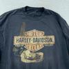 Выцветшая футболка с длинным рукавом Harley-Davidson Pinup Girl L Seaford Delaware Байкер