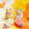 ShinWoo Ghost Bear HUG ME MINI SERIES Blind Box Mystery Box Toys Cute Action Anime Figure Kawaii Model Gift