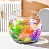 Clear Unbreakable Desktop & Living Room Fish Tank - Round Transparent Tank for Goldfish & Turtles