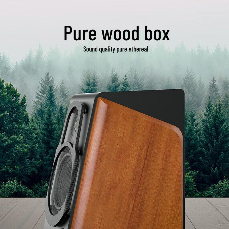 F&D R60BT Pro HiFi 2.0 Bluetooth Настольные колонки