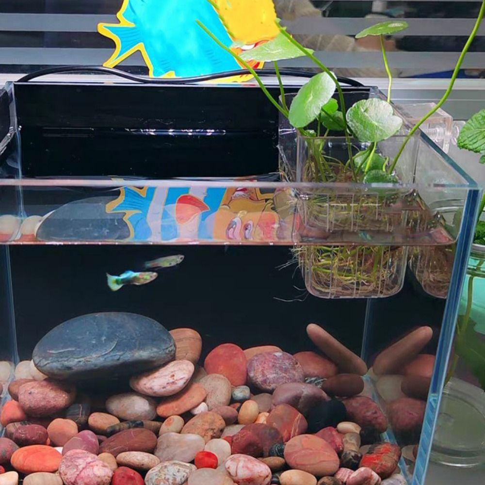 Transparent Hydroponic Support Cup Plastic Aquatic Plant Holder Water Grass Cup For Fish Tank
