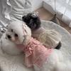 Lace Camisole Pet Spring Summer Jumpsuit Soft Pet Four Legged Coat Pet Supplies Dog Pajamas  Autumn