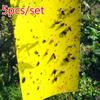 New 5 Pcs Two-sided Glue Stickers Hang Fly Trap Catchers Bug Insect Killer Pest For Balcony Garde