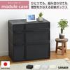 Sanka Modular Case, Freely Combinable Drawer Storage Case, Wide Medium, Black. Customize your storage to fit your lifestyle with easy-to-slide drawers